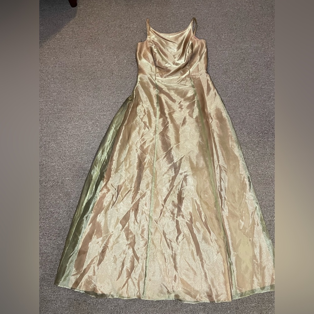 Vintage A-line dress. Comes with shawl, lined with green roses on the back. - Picture 6 of 7